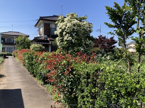 接道並びに本物件