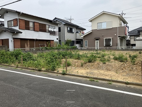 31613画像