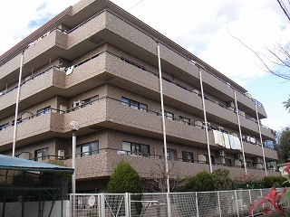 30610画像