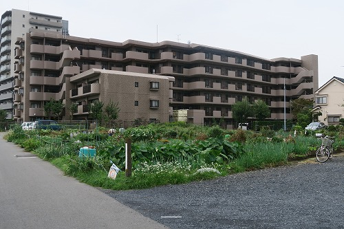 坂戸駅 徒歩8分 構造:鉄筋コンクリート造(RC)専有面積:69.44平米 ( 21坪 )