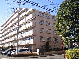 31028画像
