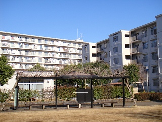 31329画像