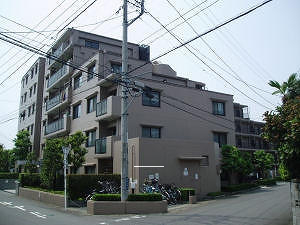 31409画像