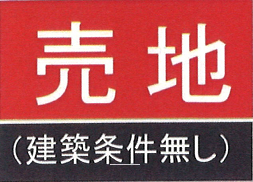 31041画像