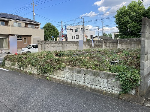 31383画像