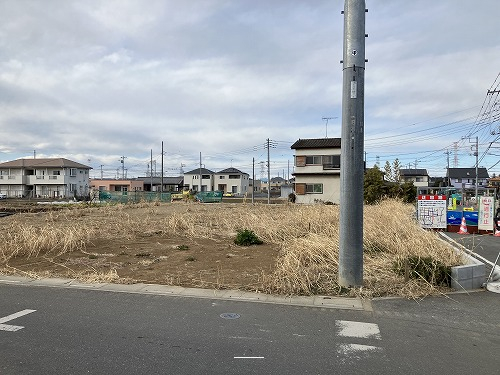 31405画像