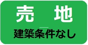 31524画像