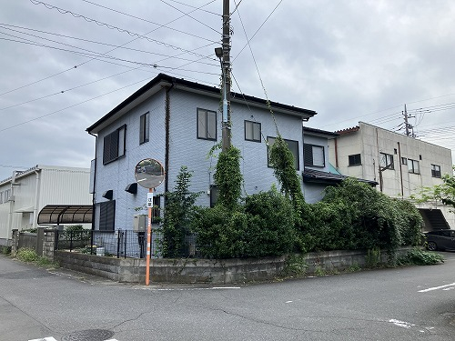 31548画像