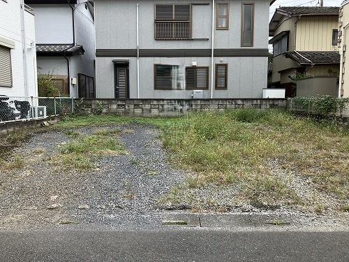 31617画像