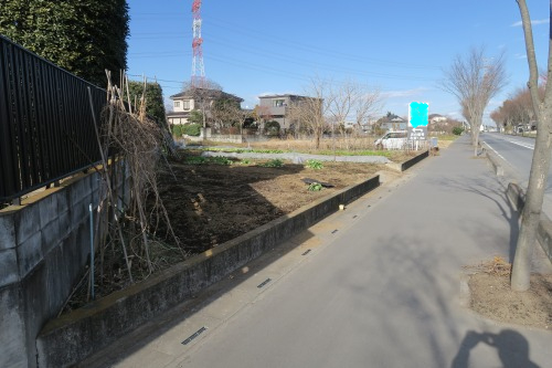 南側より撮影