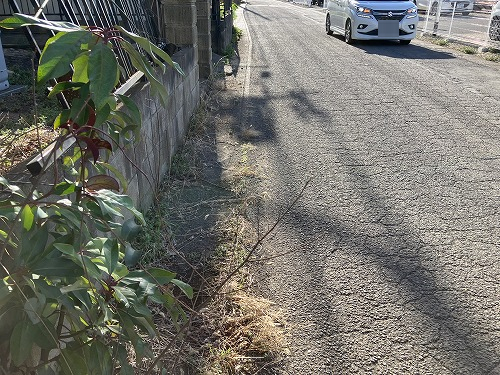 前面道路含む現地写真